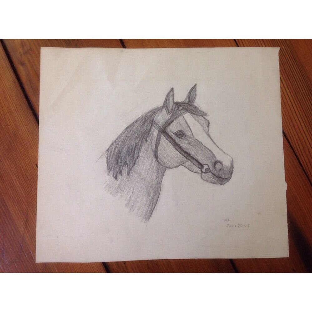 Vintage 1963 Signed Original Horse Drawing Pencil Graphite Outsider Youth Art